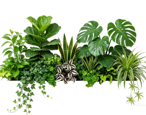 ModernPlant Leaves