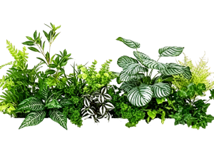 ModernPlant Leaves