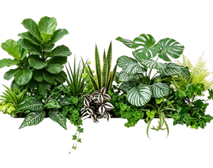ModernPlant Leaves