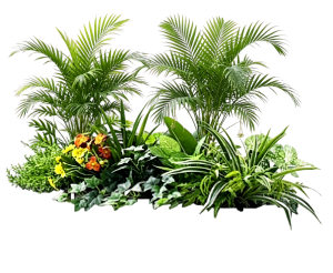 ModernPlant Leaves