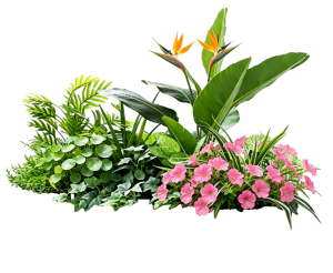 ModernPlant Leaves