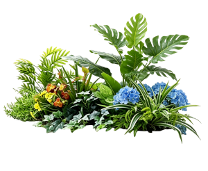 ModernPlant Leaves