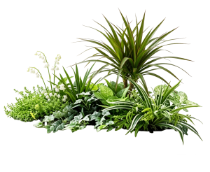 ModernPlant Leaves