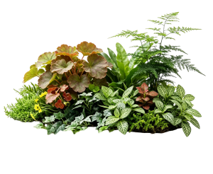 ModernPlant Leaves