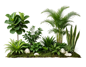 ModernPlant Leaves