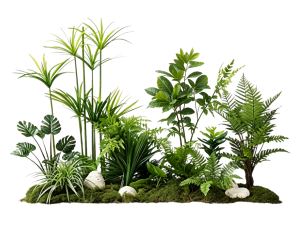 ModernPlant Leaves