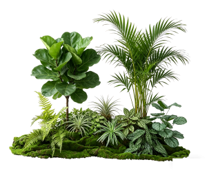 ModernPlant Leaves