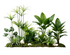 ModernPlant Leaves