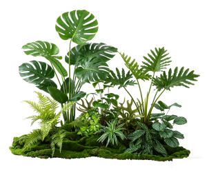 ModernPlant Leaves