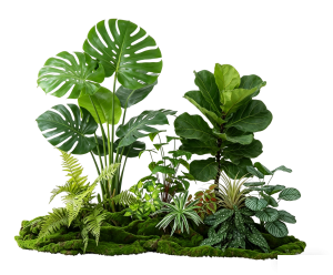 ModernPlant Leaves