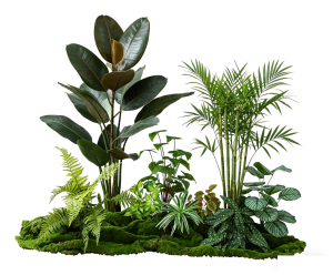 ModernPlant Leaves