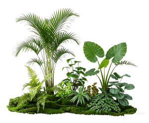 ModernPlant Leaves