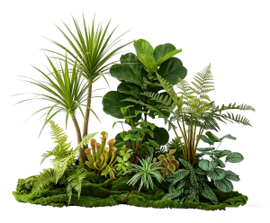 ModernPlant Leaves