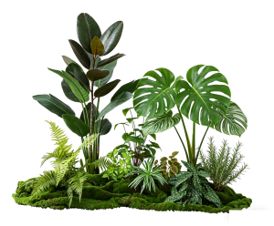 ModernPlant Leaves