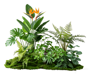 ModernPlant Leaves