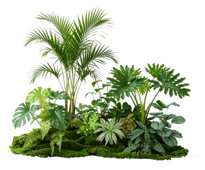 ModernPlant Leaves