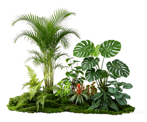 ModernPlant Leaves