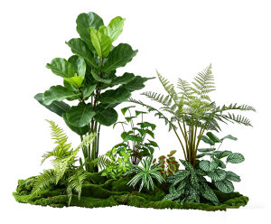 ModernPlant Leaves
