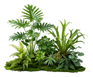 ModernPlant Leaves