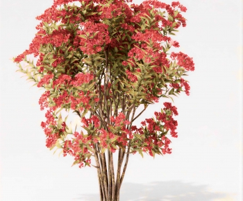 Modern Tree-ID:451011902
