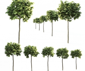 Modern Tree-ID:454289977
