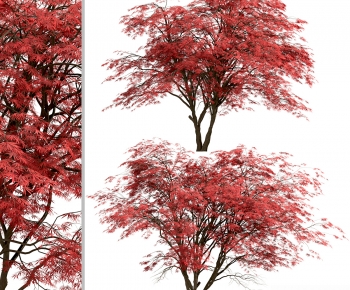 Modern Tree-ID:697310928