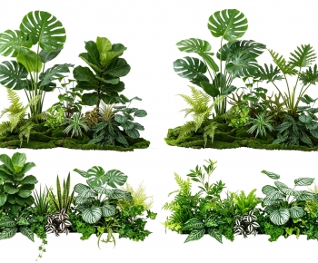 Modern Plant Pile-ID:177301887