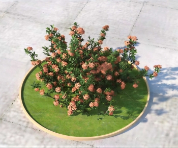 Modern Shrubbery-ID:886094099