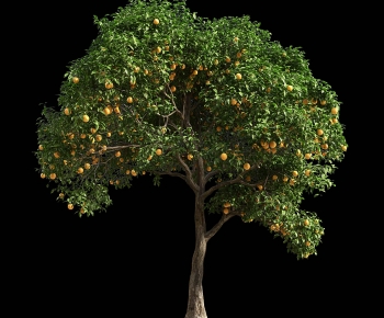 Modern Tree-ID:937697896