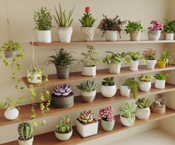 Modern Desktop Plant-ID:777482037