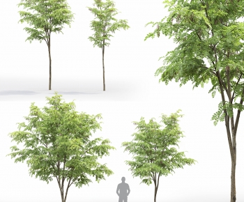 Modern Tree-ID:300008065