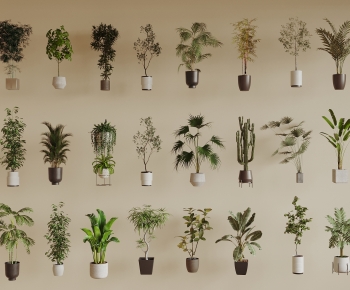Modern Ground Green Plant Potted Plants-ID:688096058
