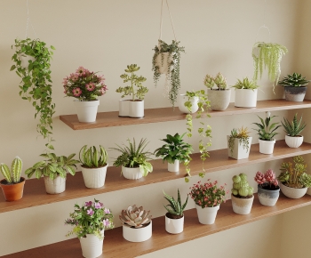 Modern Desktop Plant-ID:624070254