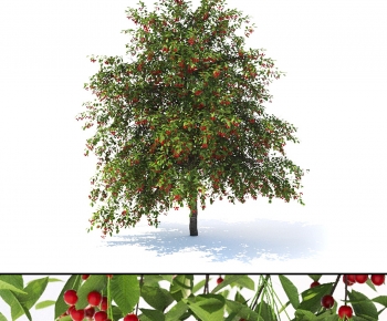 Modern Tree-ID:972729922