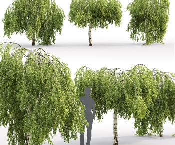Modern Tree-ID:171628005