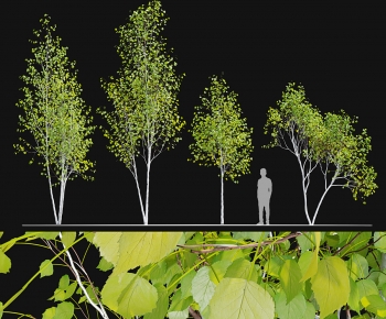 Modern Tree-ID:773895981