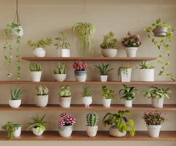Modern Potted Green Plant-ID:505629066