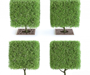 Modern Shrubbery-ID:531507973