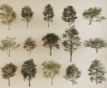 Modern Tree-ID:532589915