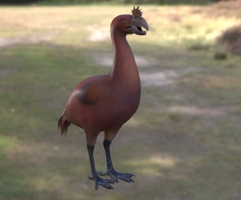 Modern Mammal-ID:692723048