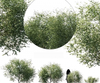 Modern Tree-ID:555401099