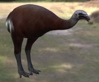 Modern Flying Animals-ID:631464969