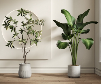 Modern Ground Green Plant Potted Plants-ID:171942953