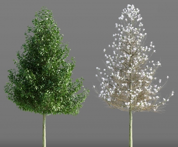 Modern Tree-ID:939729296