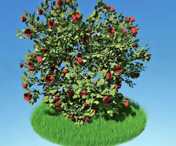 Modern Tree/shrub/grass-ID:977344991