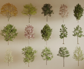 Modern Tree-ID:646897089