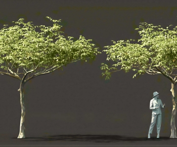 Modern Tree-ID:850362066
