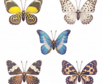 Modern Animal-ID:135419457
