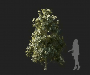 Modern Tree-ID:885056027
