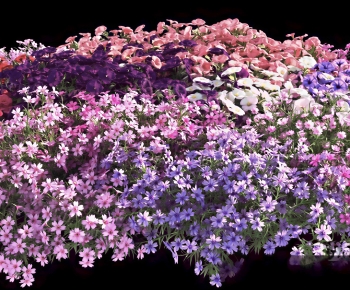 Modern Flowers-ID:725776917